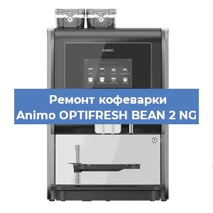 Замена | Ремонт термоблока на кофемашине Animo OPTIFRESH BEAN 2 NG в Самаре